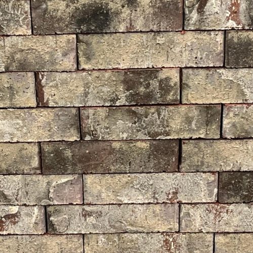 Special Blend - King - Heritage - lot OEP-25-22