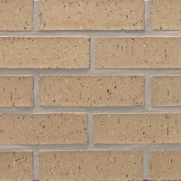 elp388modbct-dovetail-20141114-810916