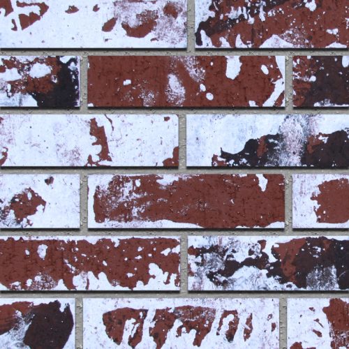 modular_thin_used_field