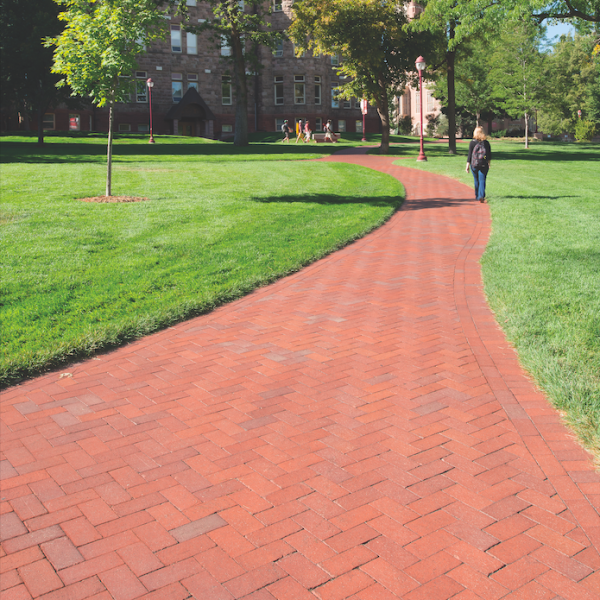 Brick paved walkway