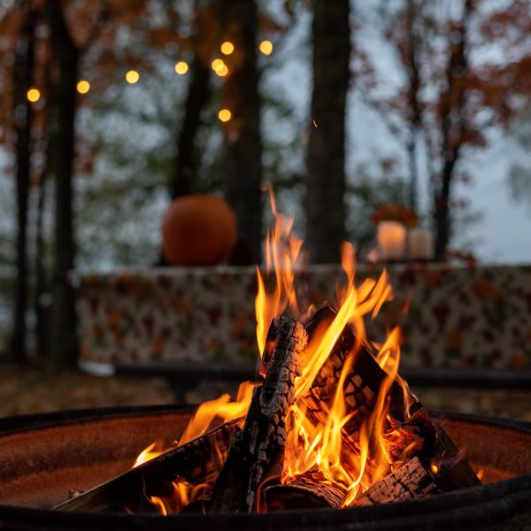 Closeup,Of,Glowing,Outdoor,Campfire,In,Fall